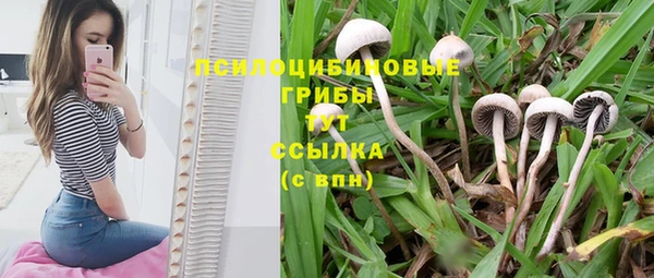 таблы Алексеевка